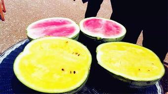 南充吃瓜爆料公司